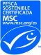 Spanish-Portrait-Blue-CMYK-scaled-1.jpg